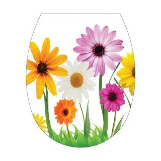 ΚΑΠΑΚΙ ΛΕΚΑΝΗΣ ΝΤΕΚΟΡ