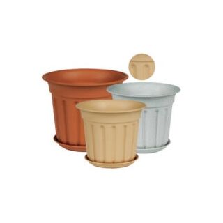 Γλάστρα ΟΛΥΜΠΙΑ νο.376