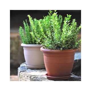 Γλάστρα στρ/η τερακότα & γρανίτης νο.240