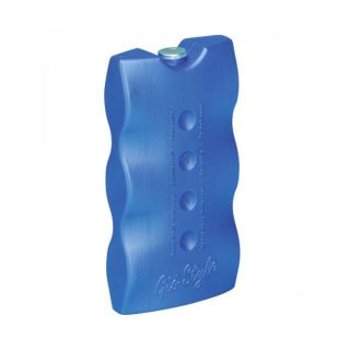 Παγοκύστη 500γραμμ.