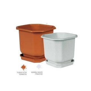 Γλάστρα ΠΟΛΥΓΩΝΗ νο.229