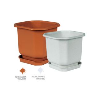 Γλάστρα ΠΟΛΥΓΩΝΗ νο.231