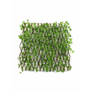 Πέργκολα φυλλωσιά 100χ200 ΚΙΣΣΟΣ